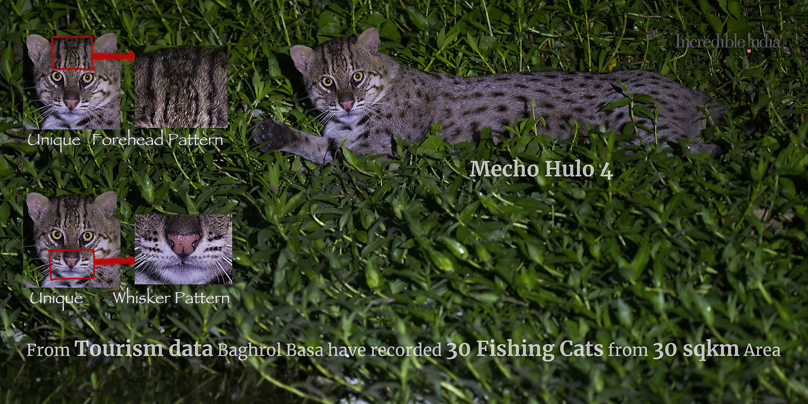 Research & Conservation Page Banner_2