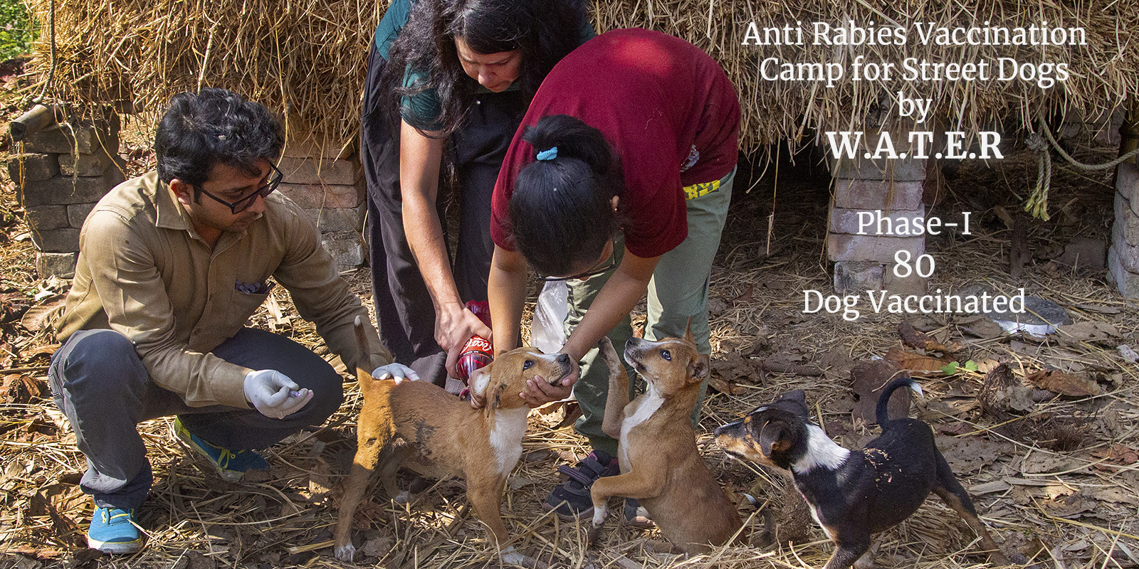 Research & Conservation Page Banner_3